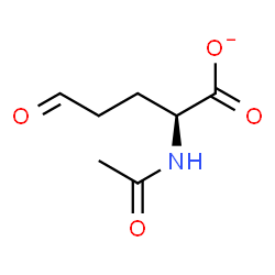 ChemSpider 2D Image | (2S)-2-Acetamido-5-oxopentanoate | C7H10NO4