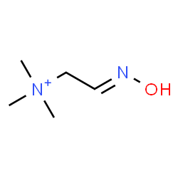 ChemSpider 2D Image | (2E)-2-(Hydroxyimino)-N,N,N-trimethylethanaminium | C5H13N2O