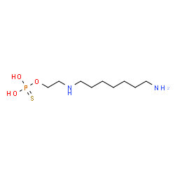ChemSpider 2D Image | O-{2-[(7-Aminoheptyl)amino]ethyl} dihydrogen phosphorothioate | C9H23N2O3PS