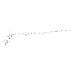 ChemSpider 2D Image | S-{1-[(2R,3S,4R,5R)-5-(6-Amino-9H-purin-9-yl)-4-hydroxy-3-(phosphonooxy)tetrahydro-2-furanyl]-3,5,9-trihydroxy-8,8-dimethyl-3,5-dioxido-10,14-dioxo-2,4,6-trioxa-11,15-diaza-3lambda~5~,5lambda~5~-dipho
sphaheptadecan-17-yl} (9E)-9-octadecenethioate | C39H68N7O17P3S