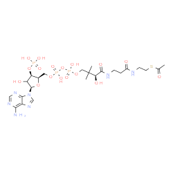 ChemSpider 2D Image | S-{(9S)-1-[(2R,3R,5R)-5-(6-Amino-9H-purin-9-yl)-4-hydroxy-3-(phosphonooxy)tetrahydro-2-furanyl]-3,5,9-trihydroxy-8,8-dimethyl-3,5-dioxido-10,14-dioxo-2,4,6-trioxa-11,15-diaza-3lambda~5~,5lambda~5~-dip
hosphaheptadecan-17-yl} ethanethioate | C23H38N7O17P3S