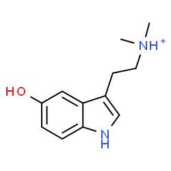 ChemSpider 2D Image | 2-(5-Hydroxy-1H-indol-3-yl)-N,N-dimethylethanaminium | C12H17N2O