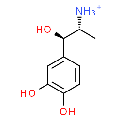 ChemSpider 2D Image | (1R,2R)-1-(3,4-Dihydroxyphenyl)-1-hydroxy-2-propanaminium | C9H14NO3