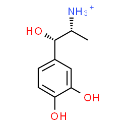 ChemSpider 2D Image | (1S,2R)-1-(3,4-Dihydroxyphenyl)-1-hydroxy-2-propanaminium | C9H14NO3