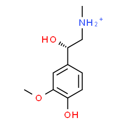 ChemSpider 2D Image | (2S)-2-Hydroxy-2-(4-hydroxy-3-methoxyphenyl)-N-methylethanaminium | C10H16NO3