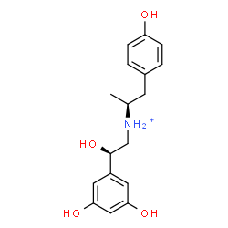 ChemSpider 2D Image | (2S)-N-[(2R)-2-(3,5-Dihydroxyphenyl)-2-hydroxyethyl]-1-(4-hydroxyphenyl)-2-propanaminium | C17H22NO4