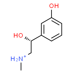 ChemSpider 2D Image | (2R)-2-Hydroxy-2-(3-hydroxyphenyl)-N-methylethanaminium | C9H14NO2