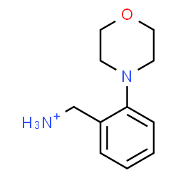 ChemSpider 2D Image | [2-(4-Morpholinyl)phenyl]methanaminium | C11H17N2O