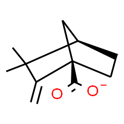 ChemSpider 2D Image | (1R,4R)-3,3-Dimethyl-2-methylenebicyclo[2.2.1]heptane-1-carboxylate | C11H15O2