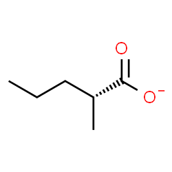 ChemSpider 2D Image | (2R)-2-Methylpentanoate | C6H11O2