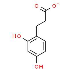 ChemSpider 2D Image | 3-(2,4-Dihydroxyphenyl)propanoate | C9H9O4