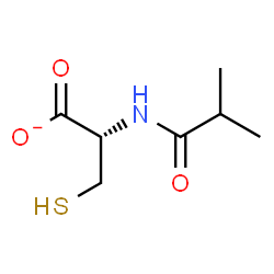 ChemSpider 2D Image | (2S)-2-(Isobutyrylamino)-3-sulfanylpropanoate | C7H12NO3S