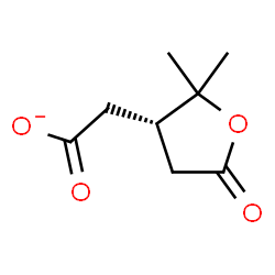 ChemSpider 2D Image | [(3S)-2,2-Dimethyl-5-oxotetrahydro-3-furanyl]acetate | C8H11O4