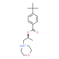 ChemSpider 2D Image | 4-[(2S)-2-{[4-(2-Methyl-2-propanyl)benzoyl]oxy}propyl]morpholin-4-ium | C18H28NO3