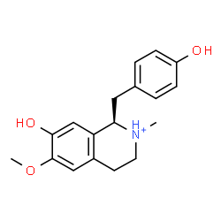 ChemSpider 2D Image | (1R)-7-Hydroxy-1-(4-hydroxybenzyl)-6-methoxy-2-methyl-1,2,3,4-tetrahydroisoquinolinium | C18H22NO3