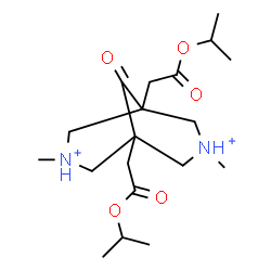 ChemSpider 2D Image | 1,5-Bis(2-isopropoxy-2-oxoethyl)-3,7-dimethyl-9-oxo-3,7-diazoniabicyclo[3.3.1]nonane | C19H34N2O5