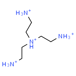 ChemSpider 2D Image | N,N-Bis(2-ammonioethyl)-1,2-ethanediaminium | C6H22N4