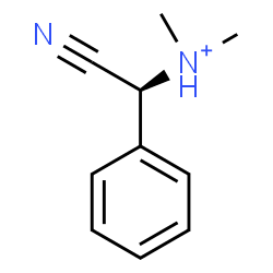 ChemSpider 2D Image | (S)-Cyano-N,N-dimethylphenylmethanaminium | C10H13N2