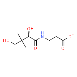 ChemSpider 2D Image | 3-{[(2S)-2,4-Dihydroxy-3,3-dimethylbutanoyl]amino}propanoate | C9H16NO5