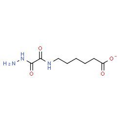 ChemSpider 2D Image | 6-{[Hydrazino(oxo)acetyl]amino}hexanoate | C8H14N3O4