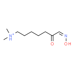 ChemSpider 2D Image | (7Z)-7-(Hydroxyimino)-N,N-dimethyl-6-oxo-1-heptanaminium | C9H19N2O2