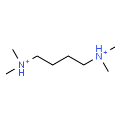 ChemSpider 2D Image | N,N,N',N'-Tetramethyl-1,4-butanediaminium | C8H22N2