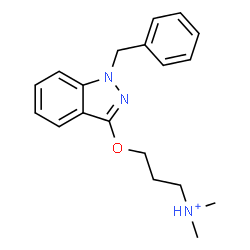 ChemSpider 2D Image | 3-[(1-Benzyl-1H-indazol-3-yl)oxy]-N,N-dimethyl-1-propanaminium | C19H24N3O