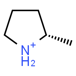 ChemSpider 2D Image | (2S)-2-Methylpyrrolidinium | C5H12N