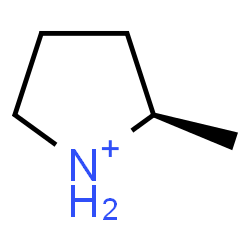 ChemSpider 2D Image | (2R)-2-Methylpyrrolidinium | C5H12N