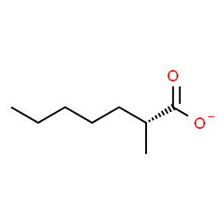 ChemSpider 2D Image | (2R)-2-Methylheptanoate | C8H15O2