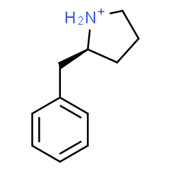 ChemSpider 2D Image | (2S)-2-Benzylpyrrolidinium | C11H16N