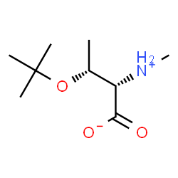 ChemSpider 2D Image | (2S,3R)-2-(Methylammonio)-3-[(2-methyl-2-propanyl)oxy]butanoate | C9H19NO3