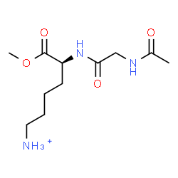 ChemSpider 2D Image | Methyl N-acetylglycyl-6-ammonio-L-norleucinate | C11H22N3O4