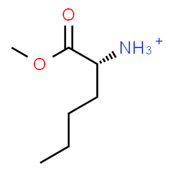 ChemSpider 2D Image | (2R)-1-Methoxy-1-oxo-2-hexanaminium | C7H16NO2
