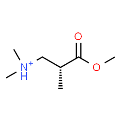 ChemSpider 2D Image | (2R)-3-Methoxy-N,N,2-trimethyl-3-oxo-1-propanaminium | C7H16NO2