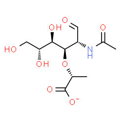 ChemSpider 2D Image | 2-Acetamido-3-O-[(1R)-1-carboxylatoethyl]-2-deoxy-D-glucose | C11H18NO8