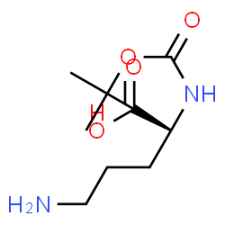 ChemSpider 2D Image | BOC-D-ORN-OH | C10H20N2O4