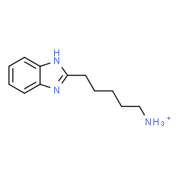 ChemSpider 2D Image | 5-(1H-Benzimidazol-2-yl)-1-pentanaminium | C12H18N3