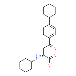 ChemSpider 2D Image | (2R)-2-(Cyclohexylammonio)-4-(4-cyclohexylphenyl)-4-oxobutanoate | C22H31NO3