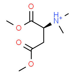 ChemSpider 2D Image | (2S)-1,4-Dimethoxy-N,N-dimethyl-1,4-dioxo-2-butanaminium | C8H16NO4
