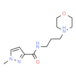 ChemSpider 2D Image | 4-(3-{[(1-Methyl-1H-pyrazol-3-yl)carbonyl]amino}propyl)morpholin-4-ium | C12H21N4O2