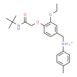 ChemSpider 2D Image | N-(3-Ethoxy-4-{2-[(2-methyl-2-propanyl)amino]-2-oxoethoxy}benzyl)-4-methylanilinium | C22H31N2O3