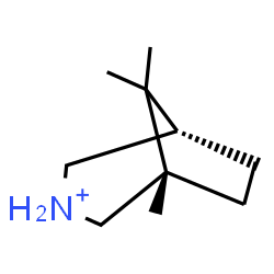 ChemSpider 2D Image | (1S,5S)-1,8,8-Trimethyl-3-azoniabicyclo[3.2.1]octane | C10H20N