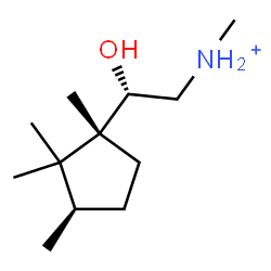 ChemSpider 2D Image | (2S)-2-Hydroxy-N-methyl-2-[(1R,3R)-1,2,2,3-tetramethylcyclopentyl]ethanaminium | C12H26NO