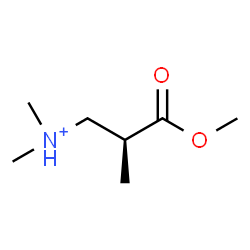 ChemSpider 2D Image | (2S)-3-Methoxy-N,N,2-trimethyl-3-oxo-1-propanaminium | C7H16NO2