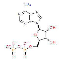 ChemSpider 2D Image | ADP trianion | C10H12N5O10P2