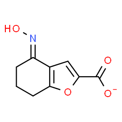 ChemSpider 2D Image | (4E)-4-(Hydroxyimino)-4,5,6,7-tetrahydro-1-benzofuran-2-carboxylate | C9H8NO4