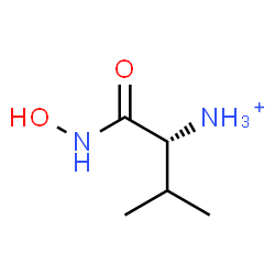ChemSpider 2D Image | (2R)-1-(Hydroxyamino)-3-methyl-1-oxo-2-butanaminium | C5H13N2O2
