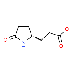 ChemSpider 2D Image | 3-[(2R)-5-Oxo-2-pyrrolidinyl]propanoate | C7H10NO3