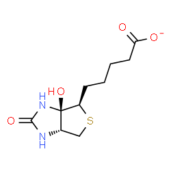 ChemSpider 2D Image | 5-[(3aR,4R,6aR)-3a-Hydroxy-2-oxohexahydro-1H-thieno[3,4-d]imidazol-4-yl]pentanoate | C10H15N2O4S
